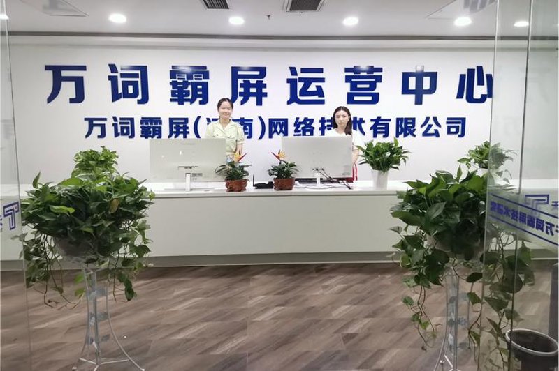 网络技术咨询